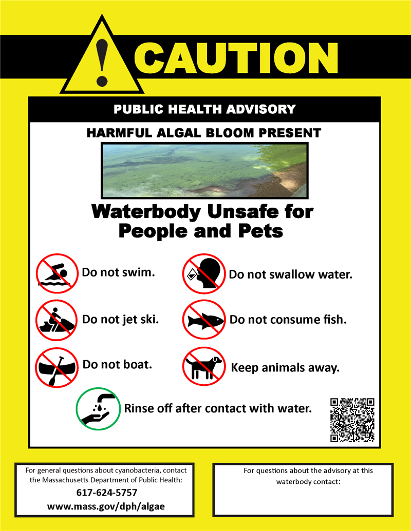 Algae Bloom Poster